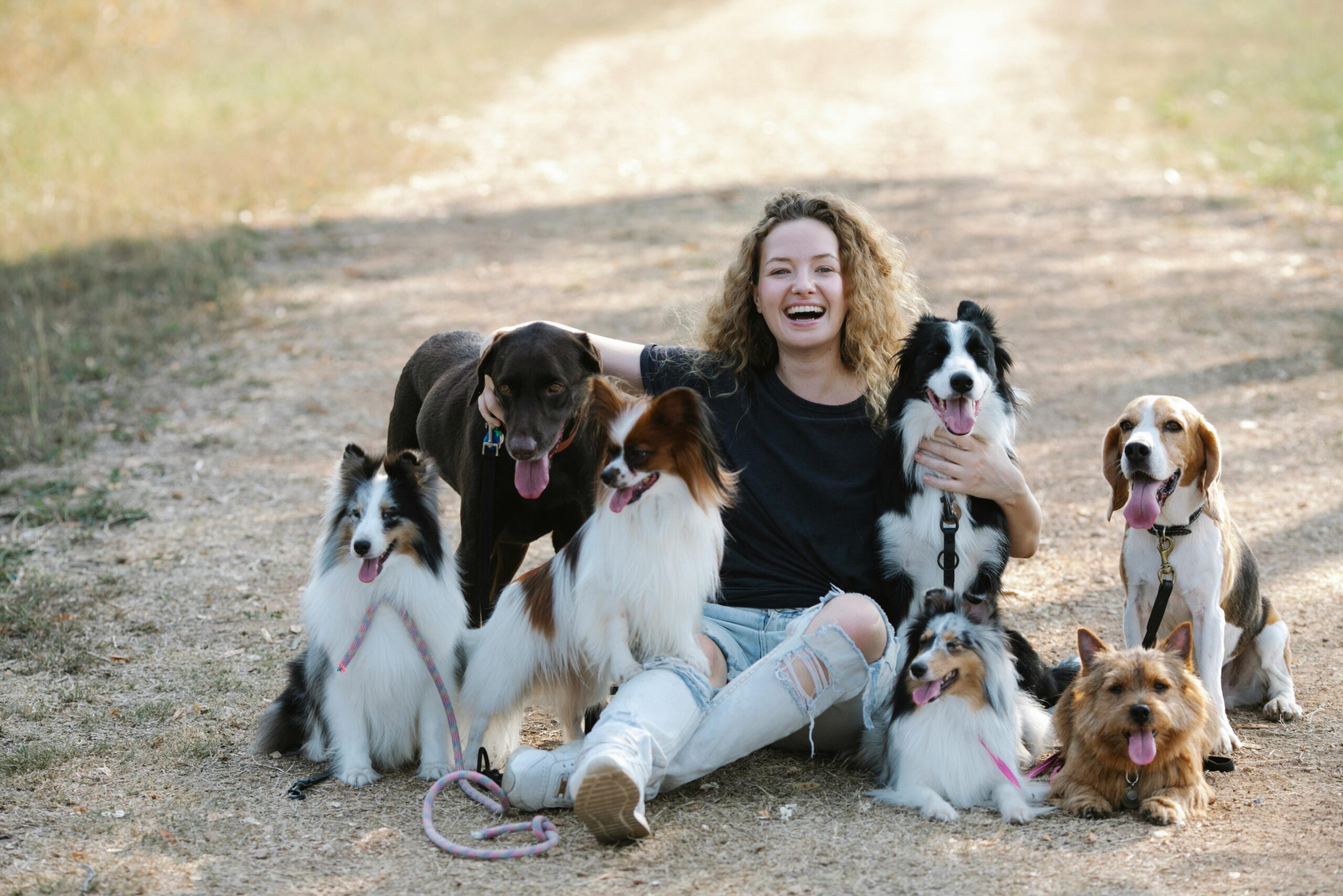 Group of puppy with a woman